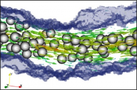 Particle-Fluid Flow and Transport within a Rough 3D Rock Fracture